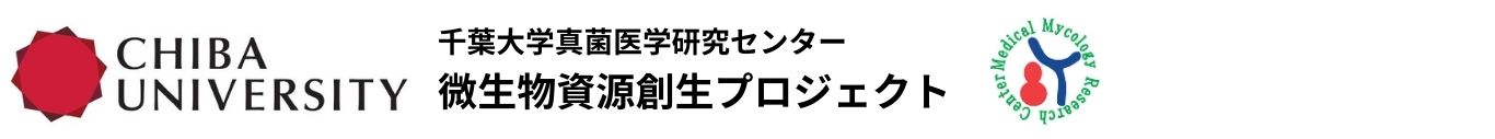 サイト・タイトル